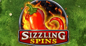 Sizzling Spins play n go