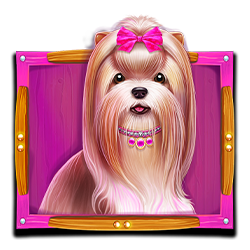 Shih Tzu The Dog house Megaways Pragmatic Play