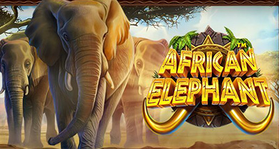 African Elephant Pragmatic Play