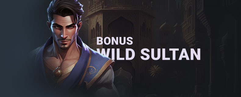 Bannière Bonus Wild Sultan