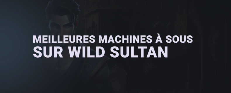 Bannière Les meilleures machines à sous sur Wild Sultan