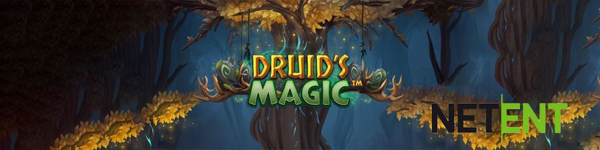 Bannière Druids Magic