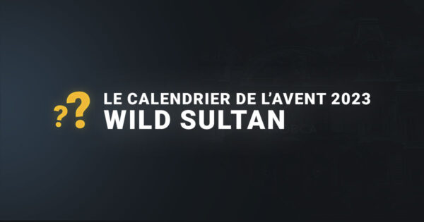 Calendrier de l'avent 2023 wild sultan