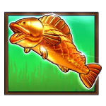 Big Bass Splash poisson doré