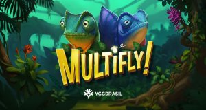 Visuel Multifly