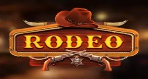 Bannière Rodeo X
